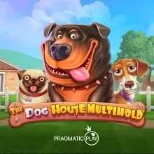 tiptop-PragmaticPlay-doghousemh